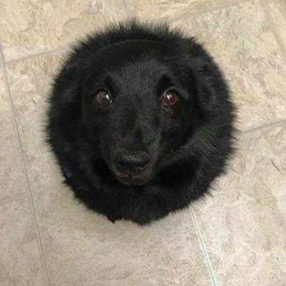 WAITING PATIENTLY FOR OFFERS ON CLOSET ITEMS...